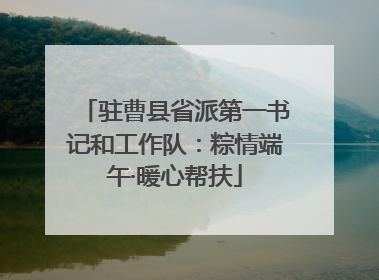 驻曹县省派第一书记和工作队：粽情端午·暖心帮扶