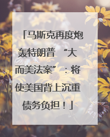 马斯克再度炮轰特朗普 “大而美法案”：将使美国背上沉重债务负担！