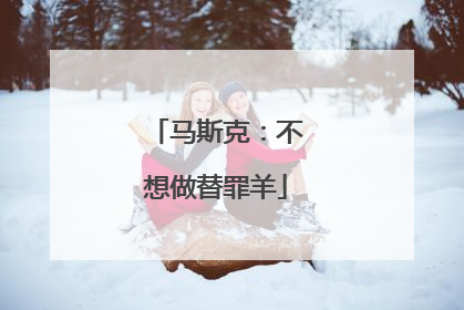 马斯克：不想做替罪羊