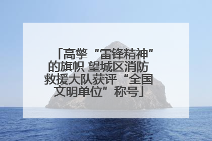 高擎“雷锋精神”的旗帜 望城区消防救援大队获评“全国文明单位”称号