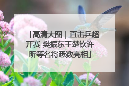 高清大图｜直击乒超开赛 樊振东王楚钦许昕等名将悉数亮相