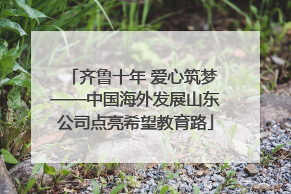 齐鲁十年 爱心筑梦——中国海外发展山东公司点亮希望教育路