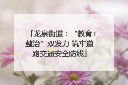 龙泉街道：“教育+整治”双发力 筑牢道路交通安全防线