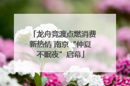 龙舟竞渡点燃消费新热情 南京“仲夏不眠夜”启幕