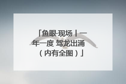 鱼眼·现场丨一年一度 驾龙出涌（内有全图）