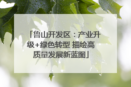 鲁山开发区：产业升级+绿色转型 描绘高质量发展新蓝图
