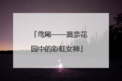 鸢尾——莫奈花园中的彩虹女神