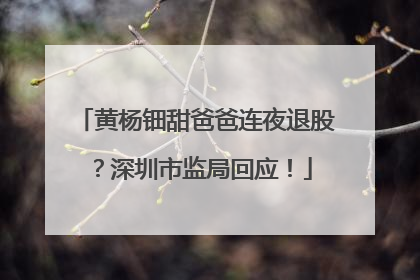 黄杨钿甜爸爸连夜退股？深圳市监局回应！