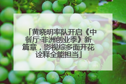 黄晓明率队开启《中餐厅·非洲创业季》新篇章，影视综多面开花诠释全能担当