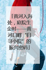 黄河入海处，庭院生金时——黄河口畔“归寻小院”的振兴密码