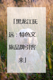 黑龙江抚远：特色文旅品牌引客来