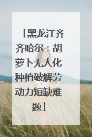 黑龙江齐齐哈尔：胡萝卜无人化种植破解劳动力短缺难题