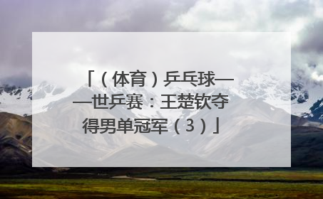 （体育）乒乓球——世乒赛：王楚钦夺得男单冠军（3）