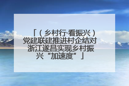 （乡村行·看振兴）党建联建推进村企结对 浙江遂昌实现乡村振兴“加速度”