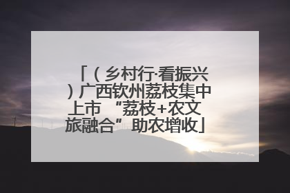 （乡村行·看振兴）广西钦州荔枝集中上市 “荔枝+农文旅融合”助农增收