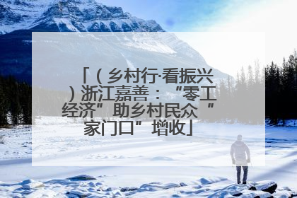（乡村行·看振兴）浙江嘉善：“零工经济”助乡村民众“家门口”增收