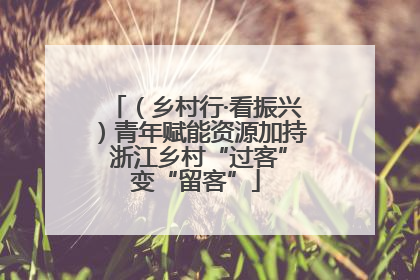 （乡村行·看振兴）青年赋能资源加持 浙江乡村“过客”变“留客”