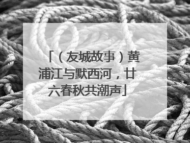 （友城故事）黄浦江与默西河，廿六春秋共潮声