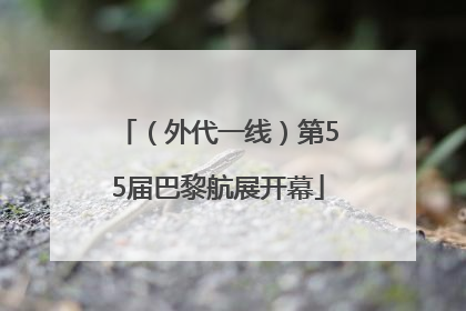 （外代一线）第55届巴黎航展开幕