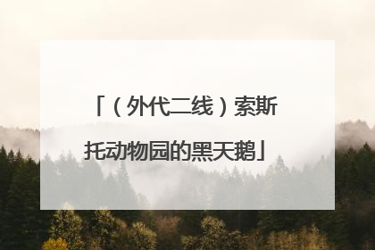 （外代二线）索斯托动物园的黑天鹅