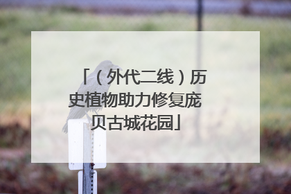 （外代二线）历史植物助力修复庞贝古城花园