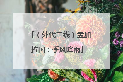 （外代二线）孟加拉国：季风降雨