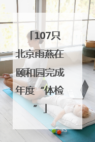 107只北京雨燕在颐和园完成年度“体检”