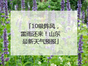 10级阵风，雷雨还来！山东最新天气预报