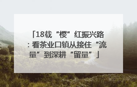 18载“樱”红振兴路：看茶业口镇从接住“流量”到深耕“留量”