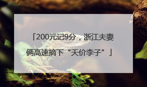 200元记9分，浙江夫妻俩高速摘下“天价李子”