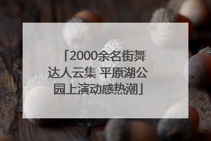 2000余名街舞达人云集 平原湖公园上演动感热潮