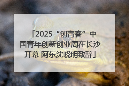 2025“创青春”中国青年创新创业周在长沙开幕 阿东沈晓明致辞