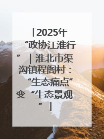 2025年“政协江淮行”｜淮北市渠沟镇程阁村：“生态痛点”变“生态景观”