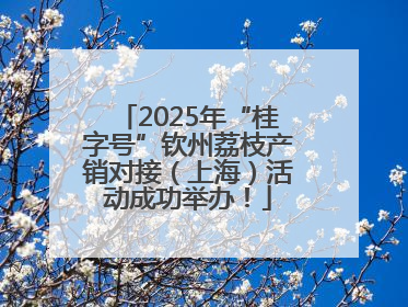 2025年“桂字号”钦州荔枝产销对接（上海）活动成功举办！