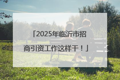 2025年临沂市招商引资工作这样干！