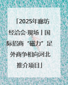 2025年廊坊经洽会·现场丨国际招商“磁力”足 外商争相向河北推介项目