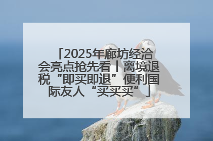 2025年廊坊经洽会亮点抢先看丨离境退税“即买即退”便利国际友人“买买买”