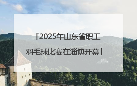 2025年山东省职工羽毛球比赛在淄博开幕