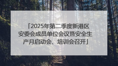 2025年第二季度新港区安委会成员单位会议暨安全生产月启动会、培训会召开