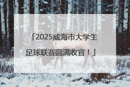 2025威海市大学生足球联赛圆满收官！