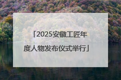 2025安徽工匠年度人物发布仪式举行