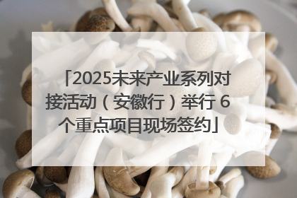 2025未来产业系列对接活动（安徽行）举行 6个重点项目现场签约