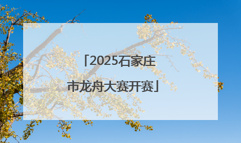 2025石家庄市龙舟大赛开赛