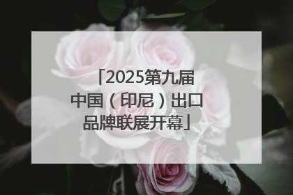 2025第九届中国（印尼）出口品牌联展开幕