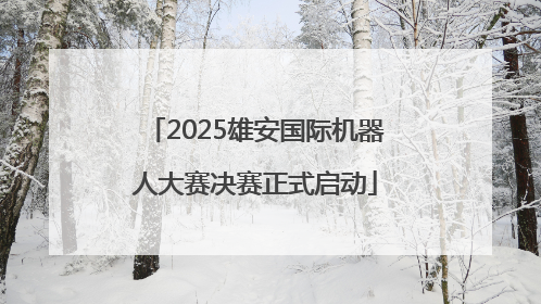2025雄安国际机器人大赛决赛正式启动
