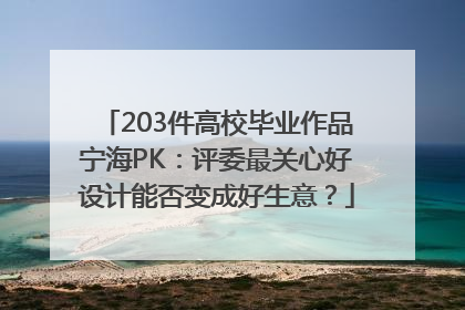 203件高校毕业作品宁海PK：评委最关心好设计能否变成好生意？