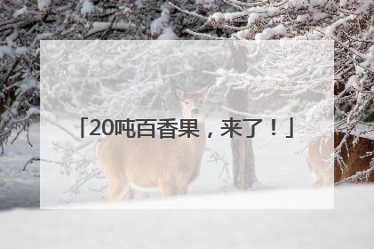 20吨百香果，来了！
