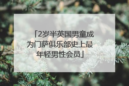 2岁半英国男童成为门萨俱乐部史上最年轻男性会员