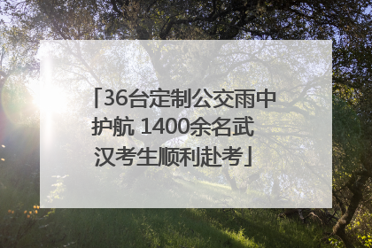 36台定制公交雨中护航 1400余名武汉考生顺利赴考