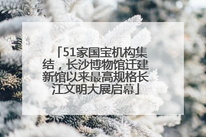 51家国宝机构集结，长沙博物馆迁建新馆以来最高规格长江文明大展启幕